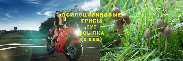 a pvp Баксан