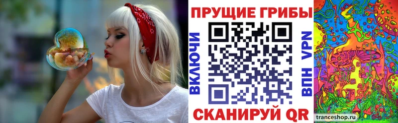 Псилоцибиновые грибы GOLDEN TEACHER  цены наркотик  Северо-Курильск 